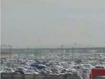 上海藥交會到底長啥樣，竟然傷了全國醫藥人的心？(圖3)